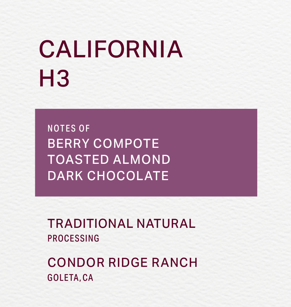 CONDOR RIDGE RANCH - TRADITIONAL NATURAL - H3 - FRINJ COFFEE