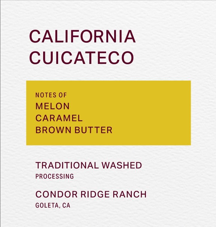 CONDOR RIDGE RANCH - TRADITIONAL WASHED - CUICATECO - FRINJ COFFEE