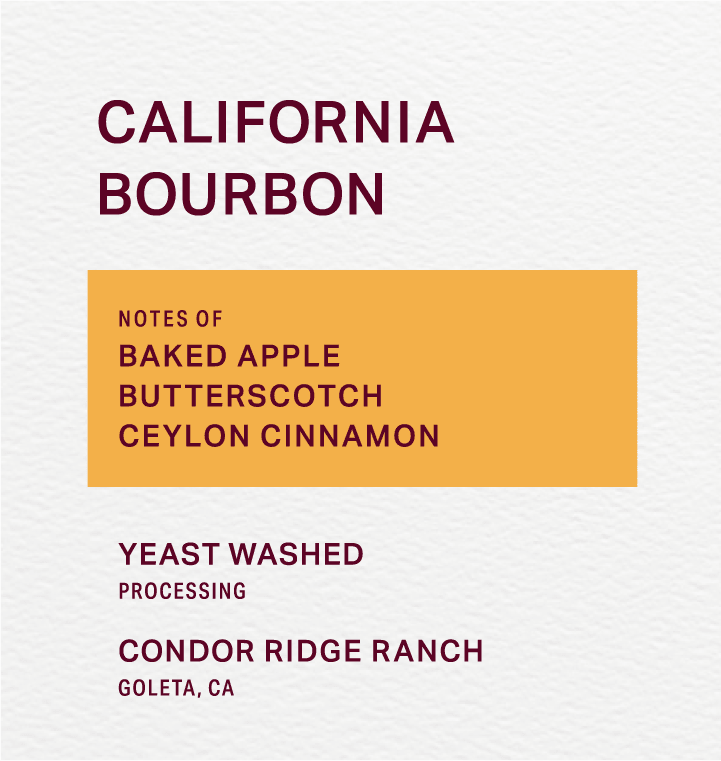 CONDOR RIDGE RANCH - YEAST WASHED - BOURBON - FRINJ COFFEE