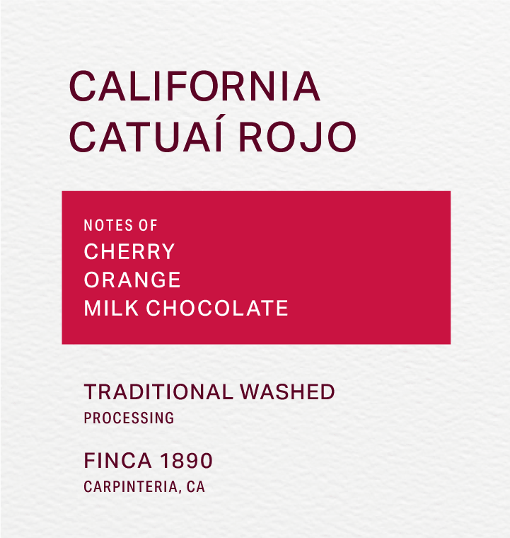 FINCA 1890 - TRADITIONAL WASHED - CATUAÍ ROJO - FRINJ COFFEE