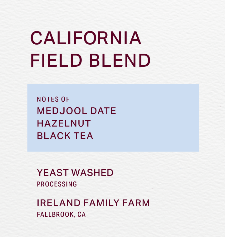IRELAND FAMILY FARM - YEAST WASHED - FIELD BLEND - FRINJ COFFEE