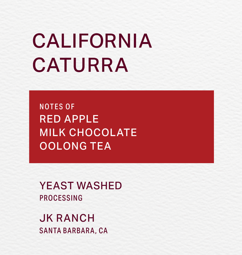 JK RANCH - YEAST WASHED - CATURRA - FRINJ COFFEE