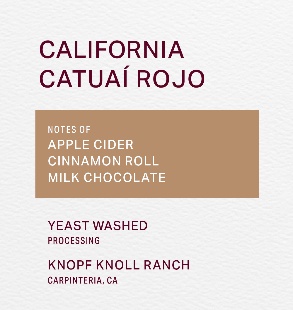 KNOPF KNOLL RANCH - YEAST WASHED - CATUAI ROJO - FRINJ COFFEE