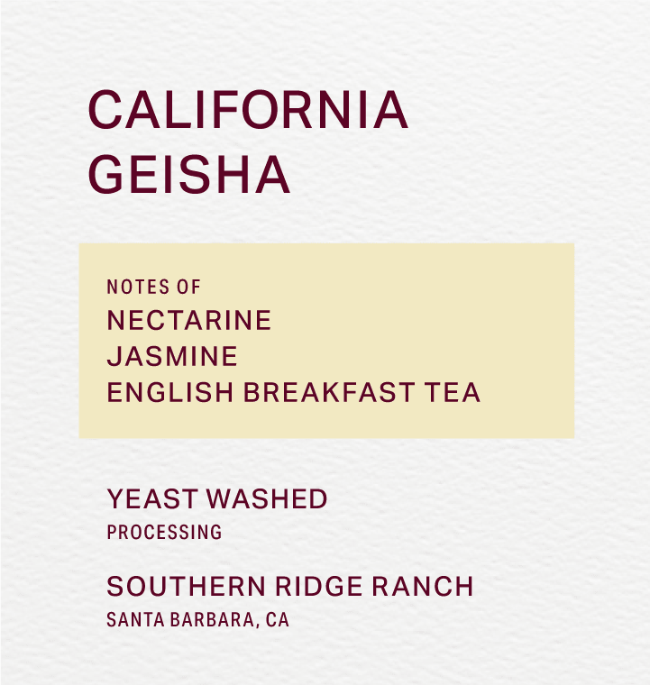 SOUTHERN RIDGE RANCH - YEAST WASHED - GEISHA - FRINJ COFFEE