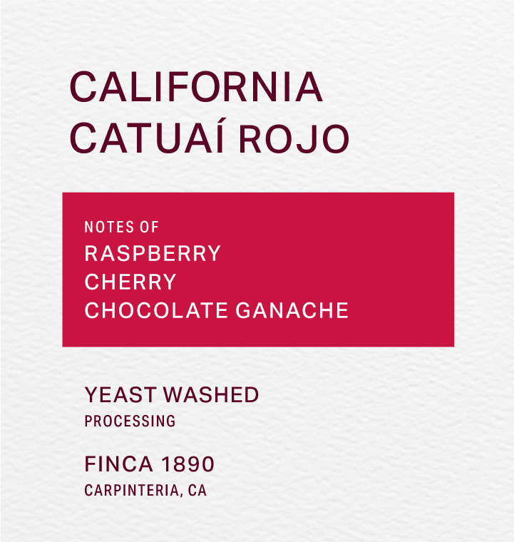 FINCA 1890 - YEAST WASHED - CATUAÍ ROJO
