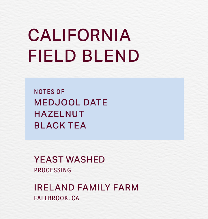 IRELAND FAMILY FARM - YEAST WASHED - FIELD BLEND