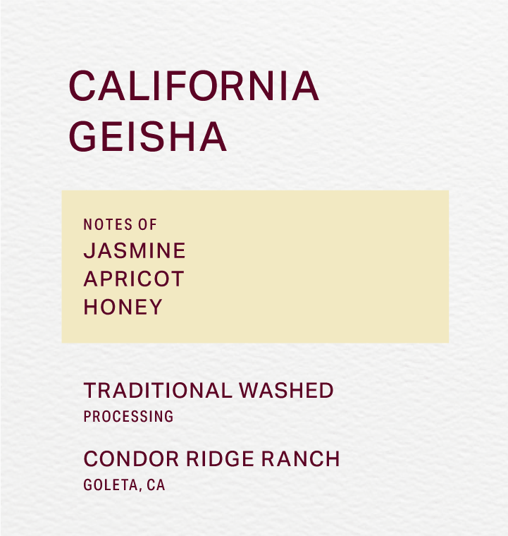 CONDOR RIDGE RANCH - TRADITIONAL WASHED - GEISHA - FRINJ COFFEE