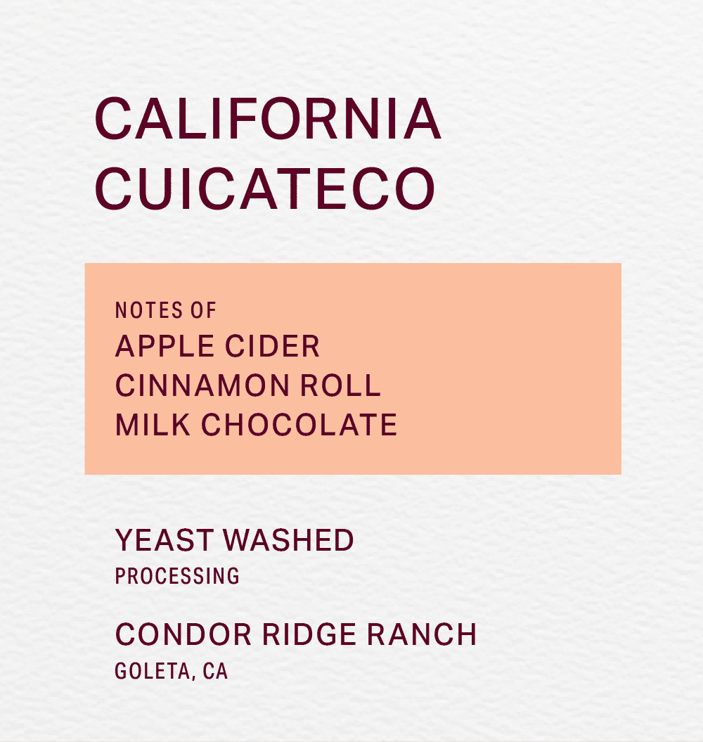 CONDOR RIDGE RANCH - YEAST WASHED - CUICATECO - FRINJ COFFEE