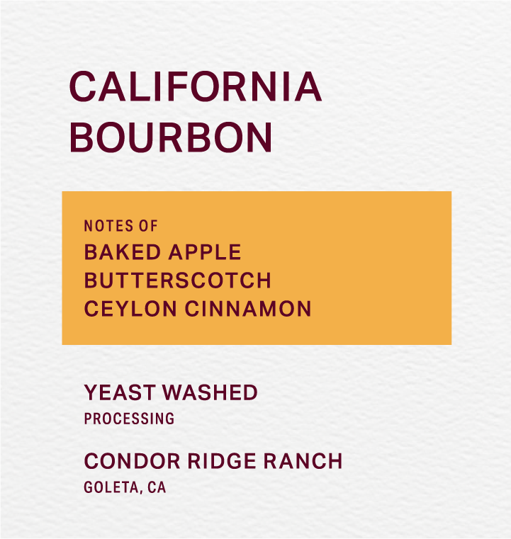 CONDOR RIDGE RANCH - YEAST WASHED - BOURBON