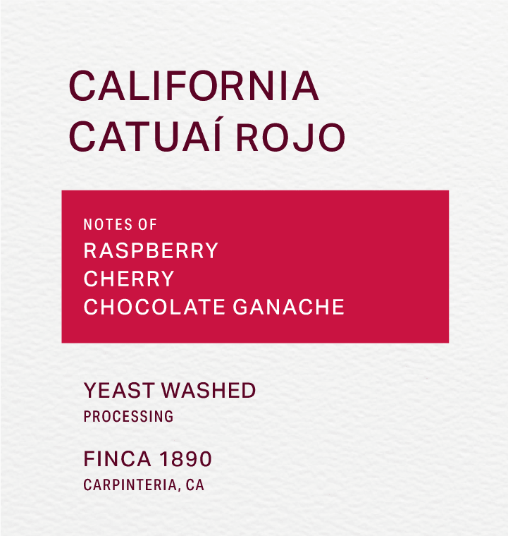 FINCA 1890 - YEAST WASHED - CATUAÍ ROJO - FRINJ COFFEE