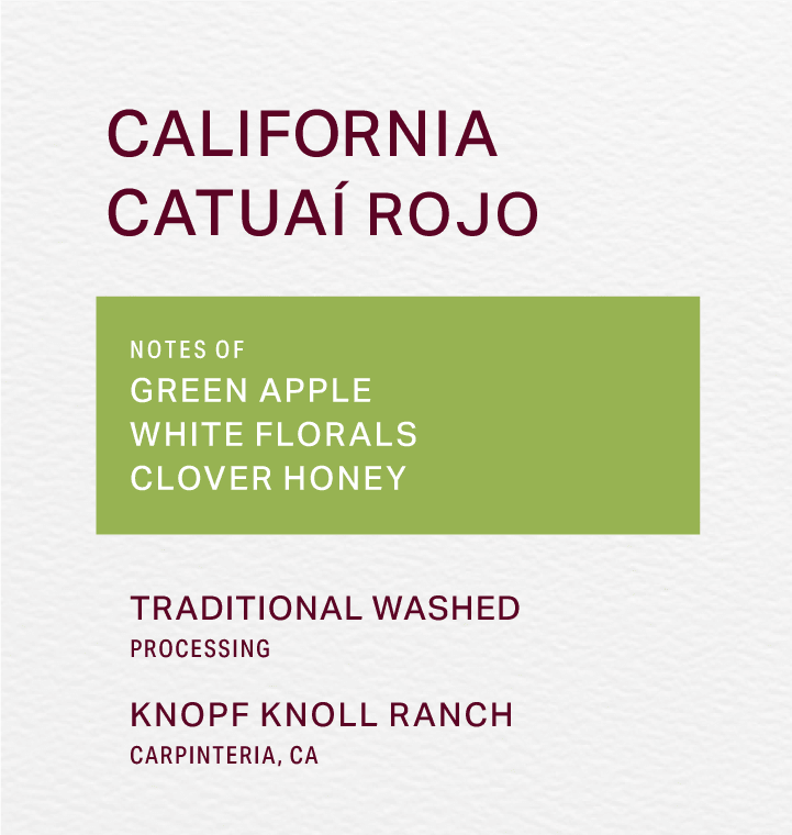 KNOPF KNOLL RANCH - TRADITIONAL WASHED - CATUAÍ ROJO - FRINJ COFFEE