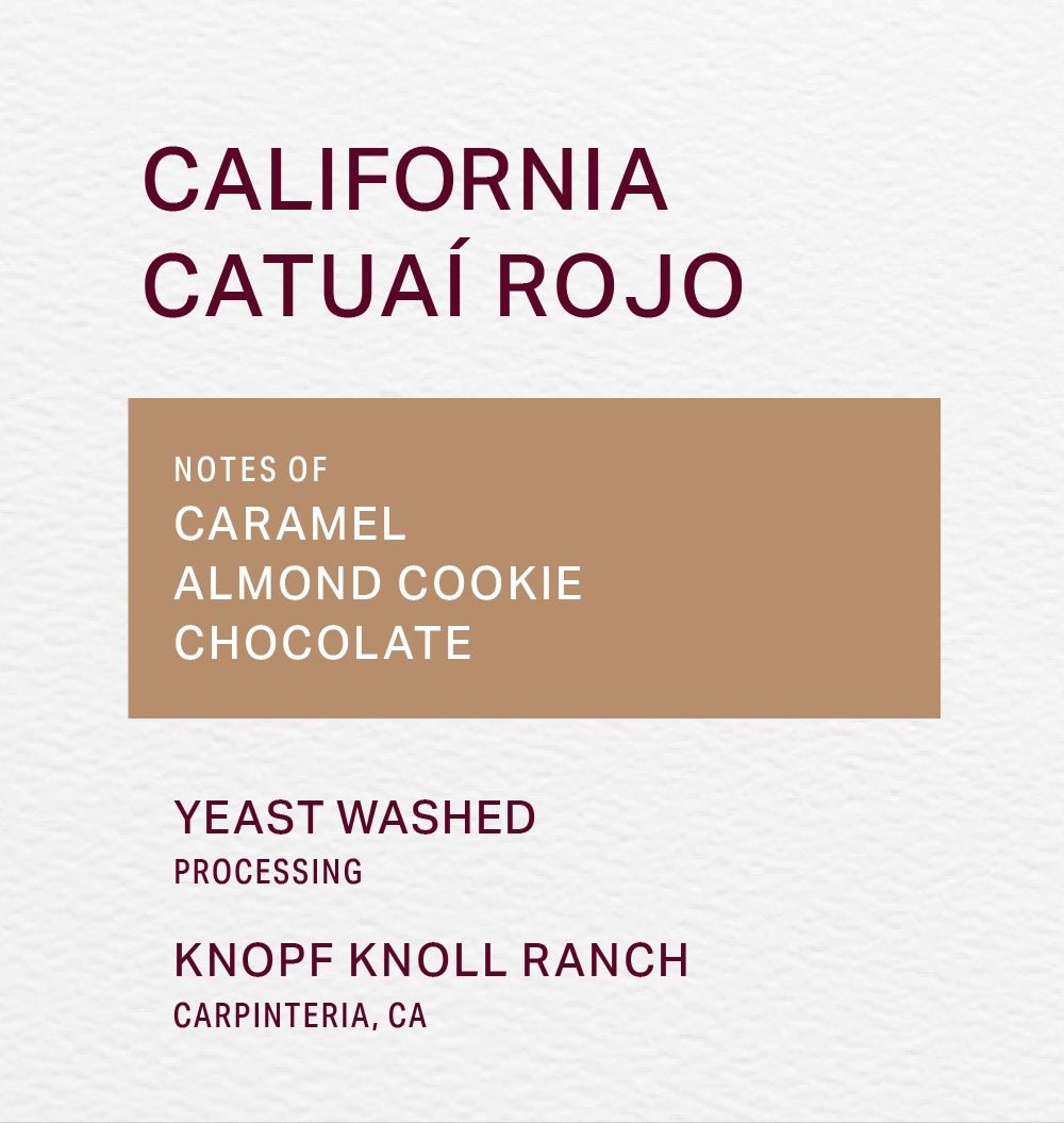 KNOPF KNOLL RANCH - YEAST WASHED - CATUAÍ ROJO - FRINJ COFFEE