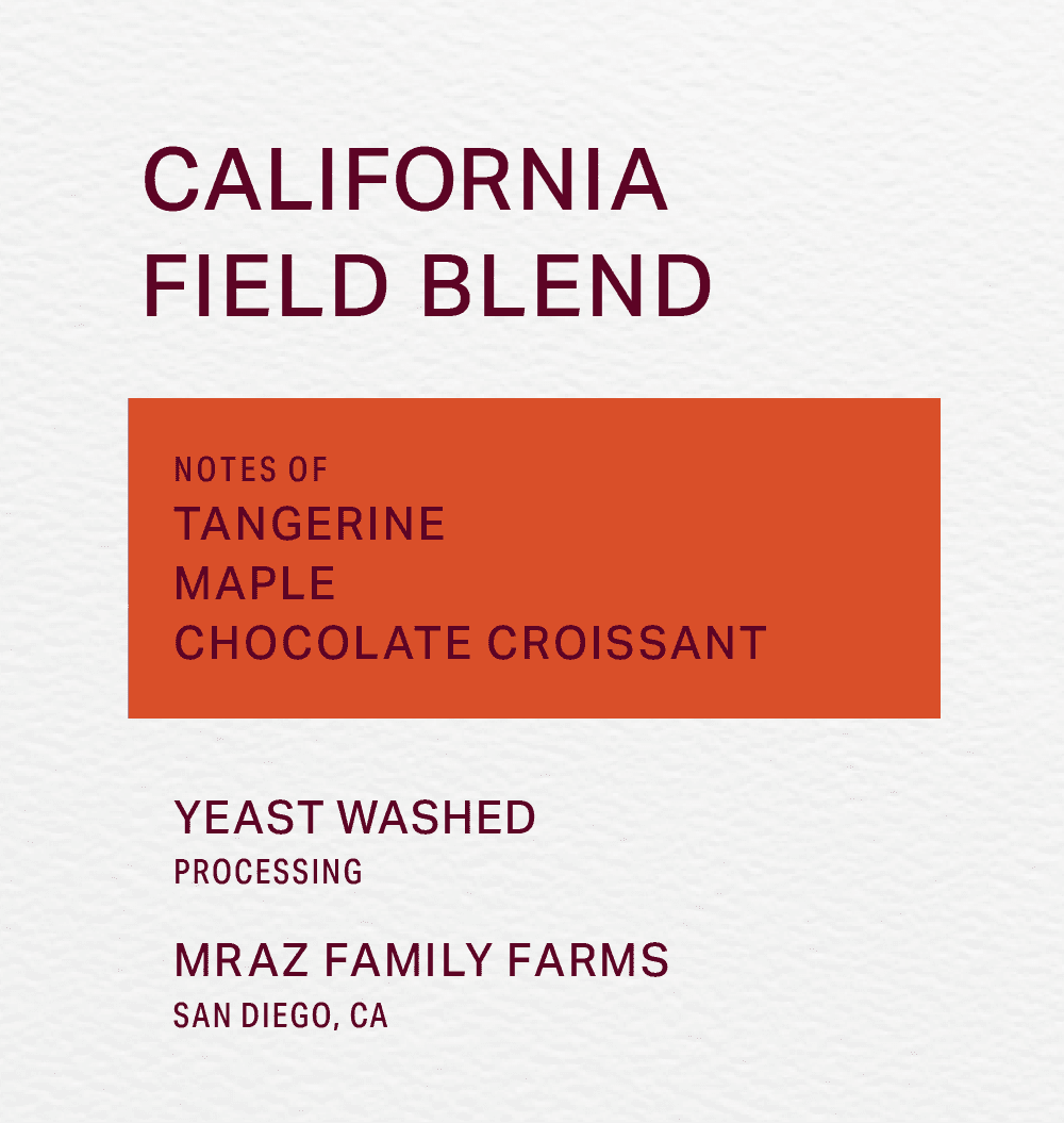 MRAZ FAMILY FARMS - YEAST WASHED - FIELD BLEND - FRINJ COFFEE
