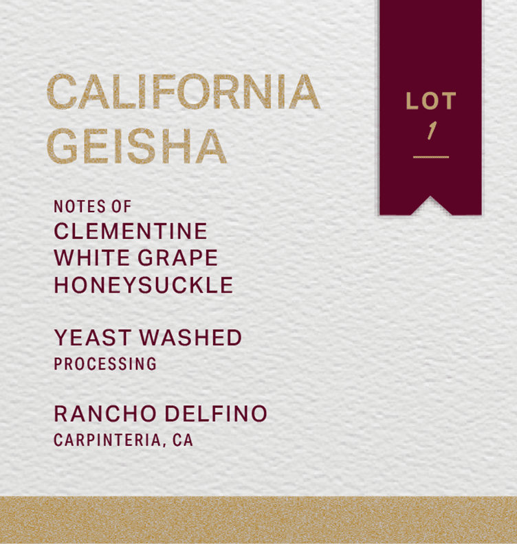 RANCHO DELFINO - GEISHA - YEAST WASHED - FRINJ COFFEE