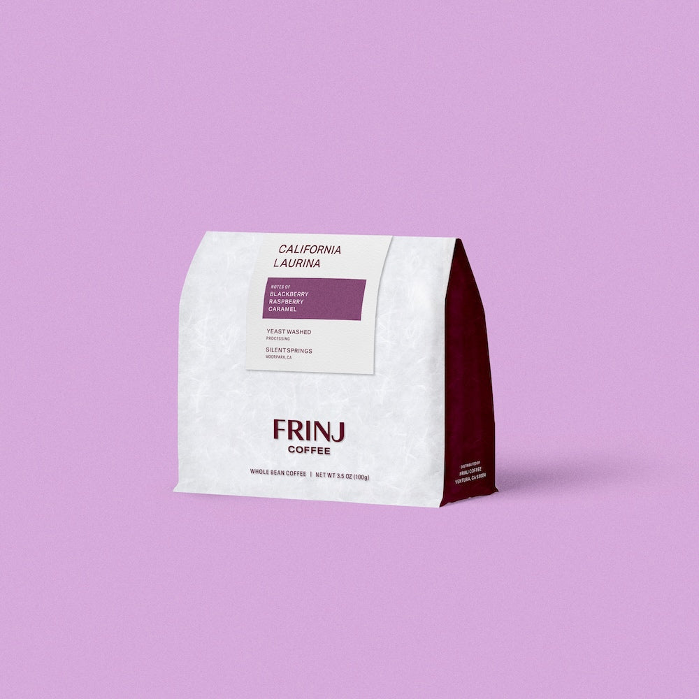 SILENT SPRINGS - YEAST WASHED - LAURINA - FRINJ COFFEE