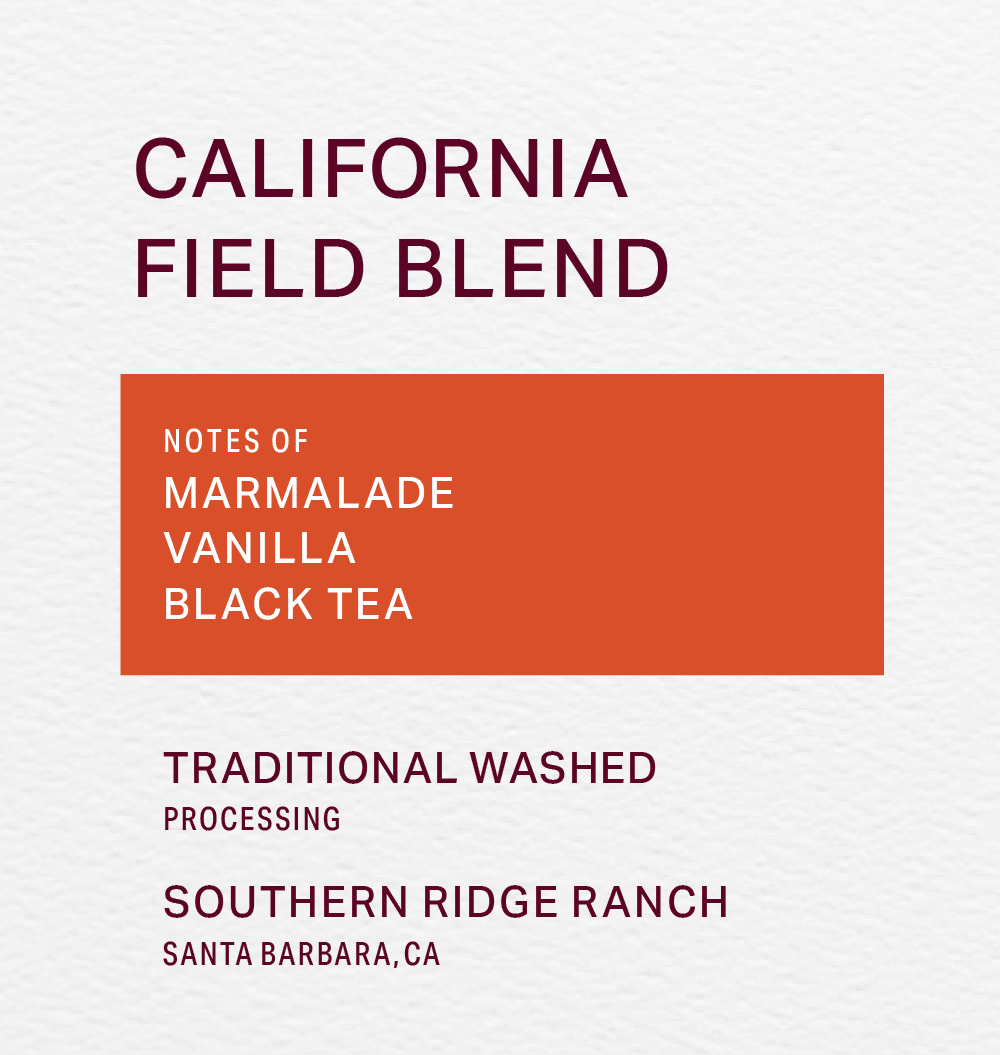 SOUTHERN RIDGE RANCH - TRADITIONAL WASHED - FIELD BLEND - FRINJ COFFEE