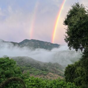 Condor Ridge Ranch - Gaviota Coast Conservancy